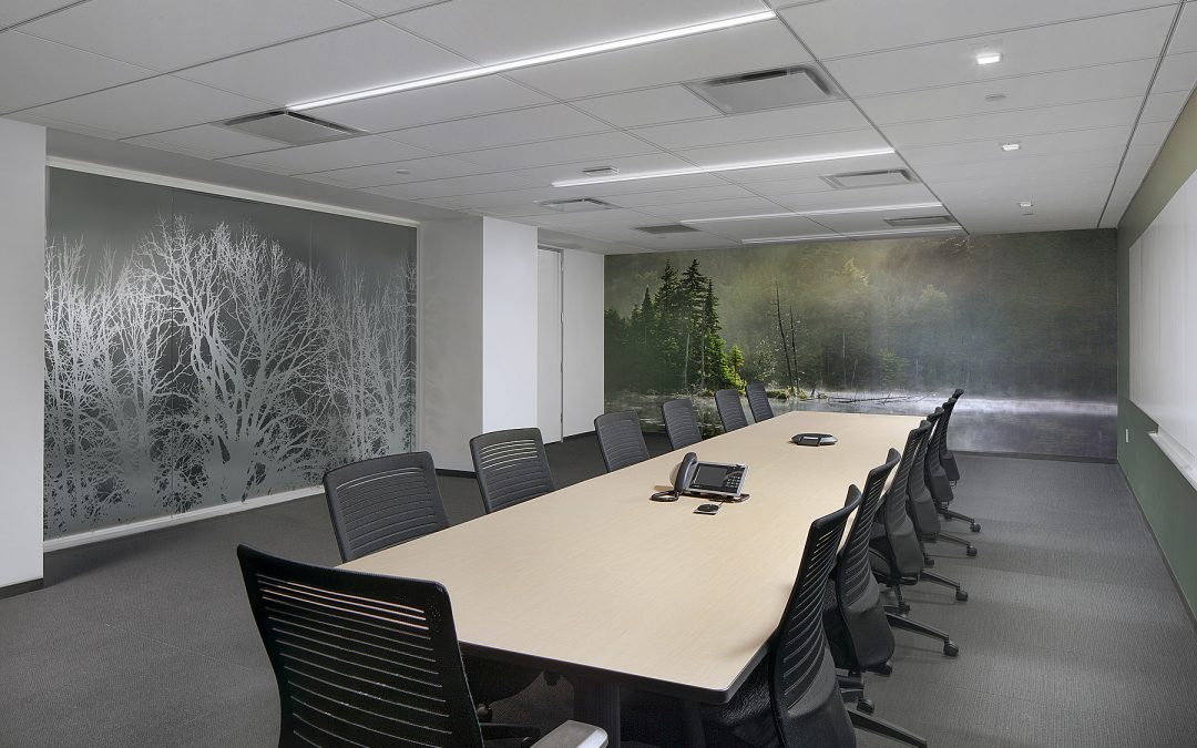 Earthjustice Opens New Northeast Regional Office, Designed by MADGI